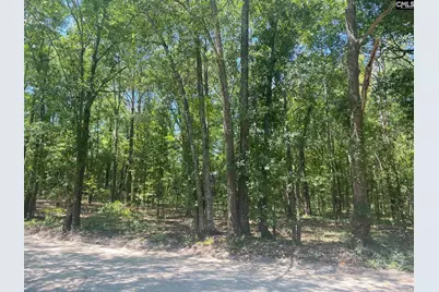 0 Mathias Road, West Columbia, SC 29169 - Photo 2