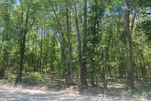 0 Mathias Rd, West Columbia, SC 29169 - Photo 2