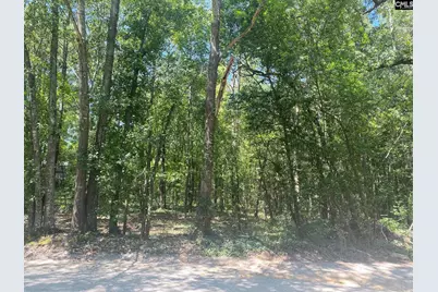 0 Mathias Road, West Columbia, SC 29169 - Photo 4