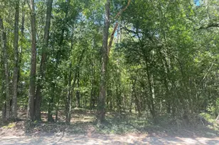 0 Mathias Rd, West Columbia, SC 29169 - Photo 4