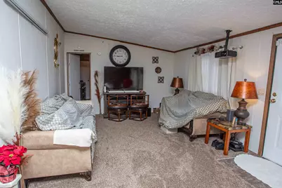 3130 Mt. Sinai Church Road, Lynchburg, SC 29080 - Photo 8