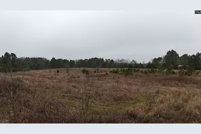 9 Sawmill Road, Westville, SC 29067 - Photo 8