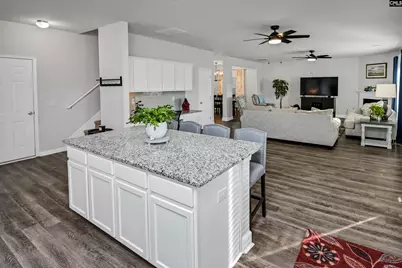 932 Trident Maple Lane, Chapin, SC 29036 - Photo 16