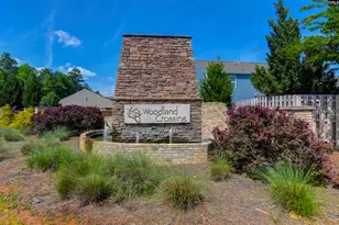 932 Trident Maple Ln, Chapin, SC 29036 - Photo 38