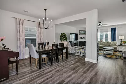 932 Trident Maple Lane, Chapin, SC 29036 - Photo 4