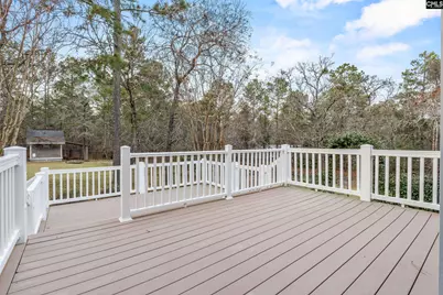 124 Lewis Court, Gilbert, SC 29054 - Photo 36