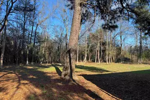 2905 Pelfrey Rd, Sumter, SC 29153 - Photo 2