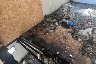 2905 Pelfrey Rd, Sumter, SC 29153 - Photo 10