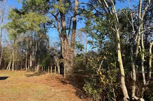 2905 Pelfrey Rd, Sumter, SC 29153 - Photo 6