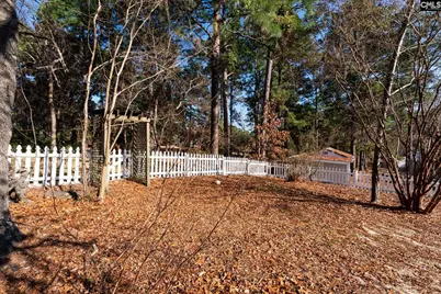 203 Sparkleberry Lane, Columbia, SC 29229 - Photo 28