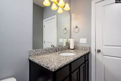 433 Sag Harbor Court, Lexington, SC 29072 - Photo 28
