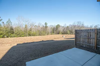 225 Flatsedge Court, Lexington, SC 29072 - Photo 4