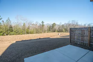 225 Flatsedge Ct, Lexington, SC 29072 - Photo 4