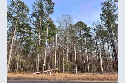 Tba E S Piney Branch Road, Eastover, SC 29044 - Photo 1