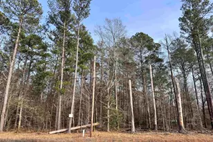 Tba E S Piney Branch Rd, Eastover, SC 29044 - Photo 1