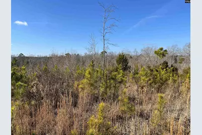 242 Chappell Road, Winnsboro, SC 29180 - Photo 2
