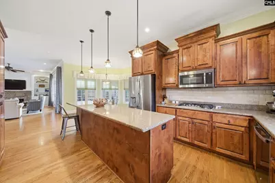 225 Wood Moor Place, Columbia, SC 29212 - Photo 16