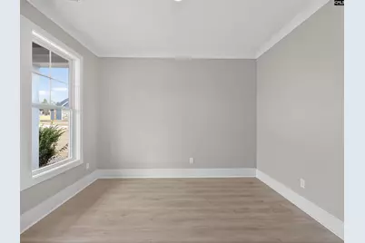 28 Elk Run Court, Chapin, SC 29036 - Photo 12