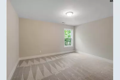 28 Elk Run Court, Chapin, SC 29036 - Photo 30