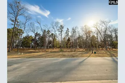 546 Misty Banks Drive #87, Chapin, SC 29036 - Photo 1