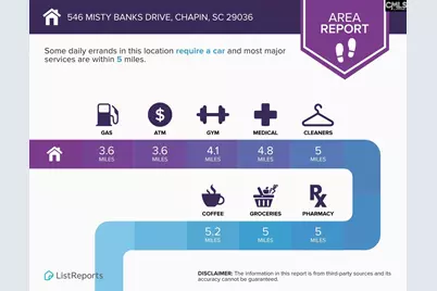 546 Misty Banks Drive #87, Chapin, SC 29036 - Photo 20