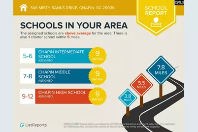 546 Misty Banks Drive #87, Chapin, SC 29036 - Photo 18