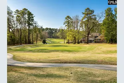 546 Misty Banks Drive #87, Chapin, SC 29036 - Photo 6