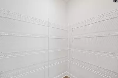 591 Carters Grove Lane, Blythewood, SC 29016 - Photo 18