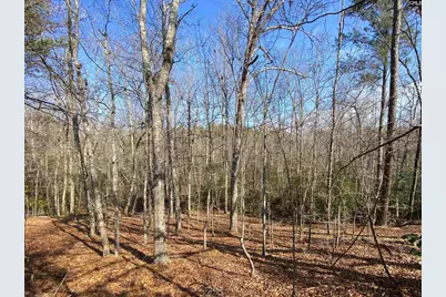 Tbd 1 Juniper Road, Barnwell, SC 29843 - Photo 2
