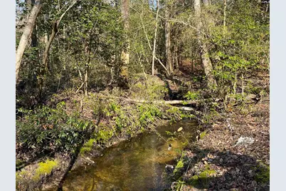 Tbd 1 Juniper Road, Barnwell, SC 29843 - Photo 10