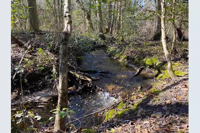 Tbd 1 Juniper Road, Barnwell, SC 29843 - Photo 1