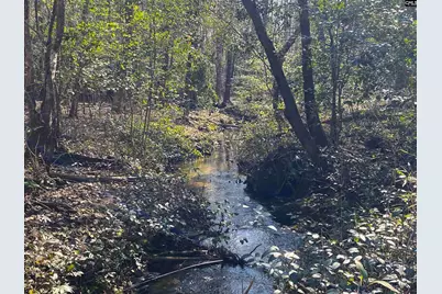 Tbd 1 Juniper Road, Barnwell, SC 29843 - Photo 4