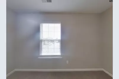 113 Driftwood Avenue, Elgin, SC 29045 - Photo 10