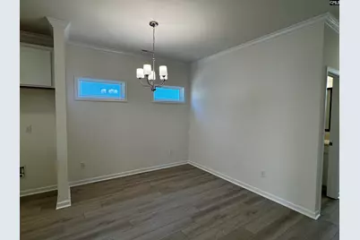 562 Griffon Drive, Chapin, SC 29036 - Photo 10