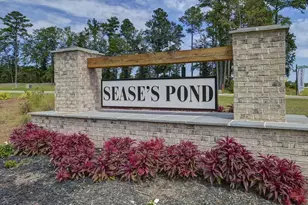 158 Ruby Prince Rd, Gilbert, SC 29054 - Photo 48