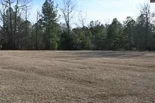 550 Old Shoals Rd, Monetta, SC 29125 - Photo 52