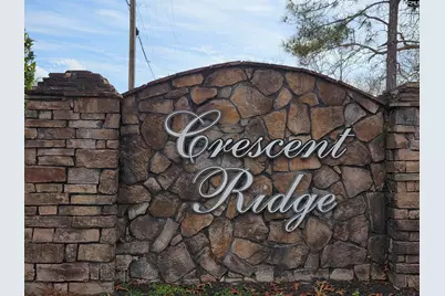 165 Crassula Drive, Lexington, SC 29073 - Photo 34