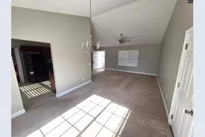 165 Crassula Drive, Lexington, SC 29073 - Photo 12