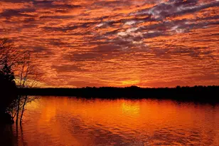 2207C Horton Cove Rd, Camden, SC 29020 - Photo 1