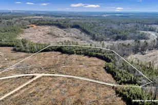 0 Ebb Mack Rd, Saluda, SC 29138 - Photo 1