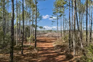 0 Shiloh Rd, Saluda, SC 29138 - Photo 1