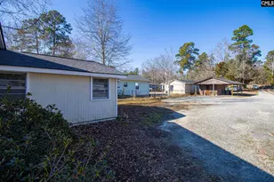 528 Bear Creek Rd, Chapin, SC 29036 - Photo 28