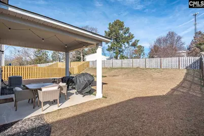 226 Wahoo Circle, Irmo, SC 29063 - Photo 26