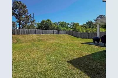 226 Wahoo Circle, Irmo, SC 29063 - Photo 28