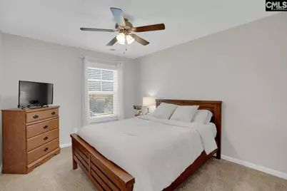 226 Wahoo Circle, Irmo, SC 29063 - Photo 24