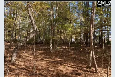 106 Admirals Point, Leesville, SC 29070 - Photo 8