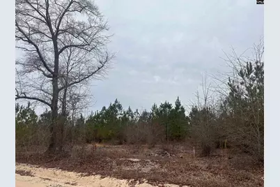 3071 Arcadia Road #3, Bethune, SC 29009 - Photo 8