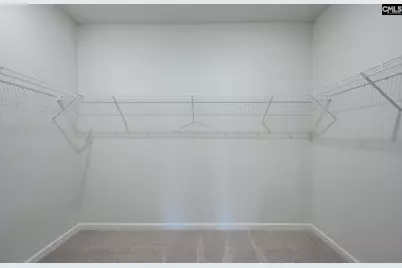 541 Carters Grove Lane, Blythewood, SC 29016 - Photo 16