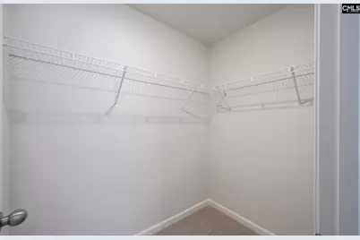 541 Carters Grove Lane, Blythewood, SC 29016 - Photo 26