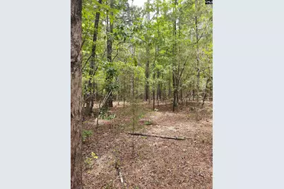 1109 Hopewell Church Road, Irmo, SC 29063 - Photo 2